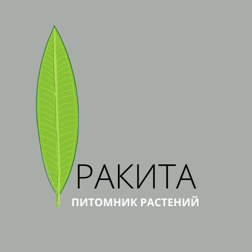 Семена и саженцы - питомник Ракита